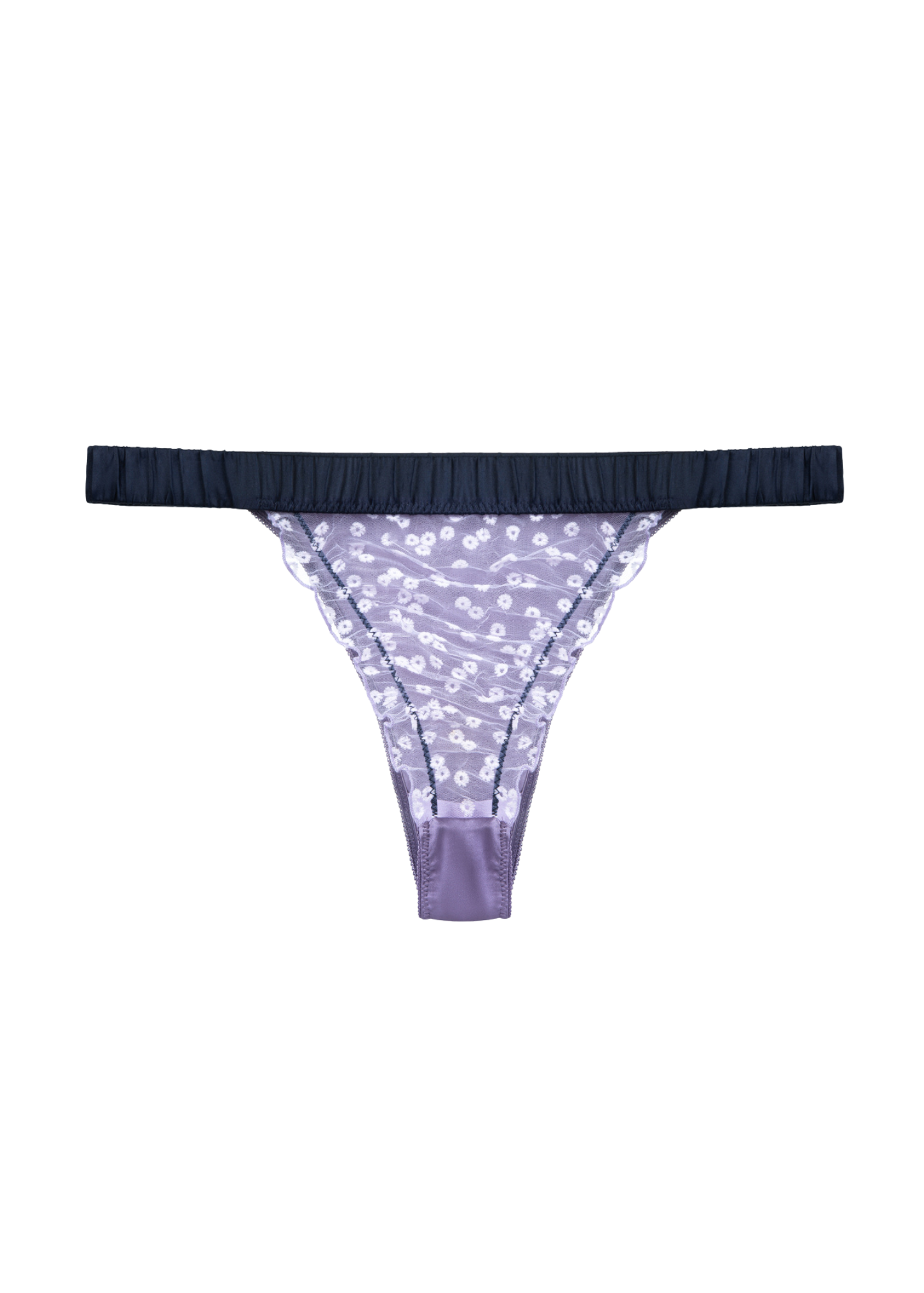 Brazyliany Werbena Multikolor